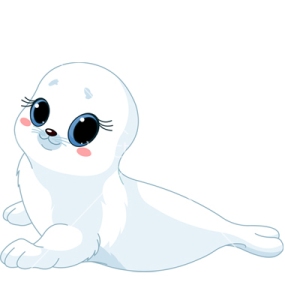Baby  seal