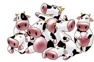cartoon-dairy-cows