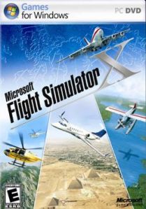 Microsoft's Flight Simulator